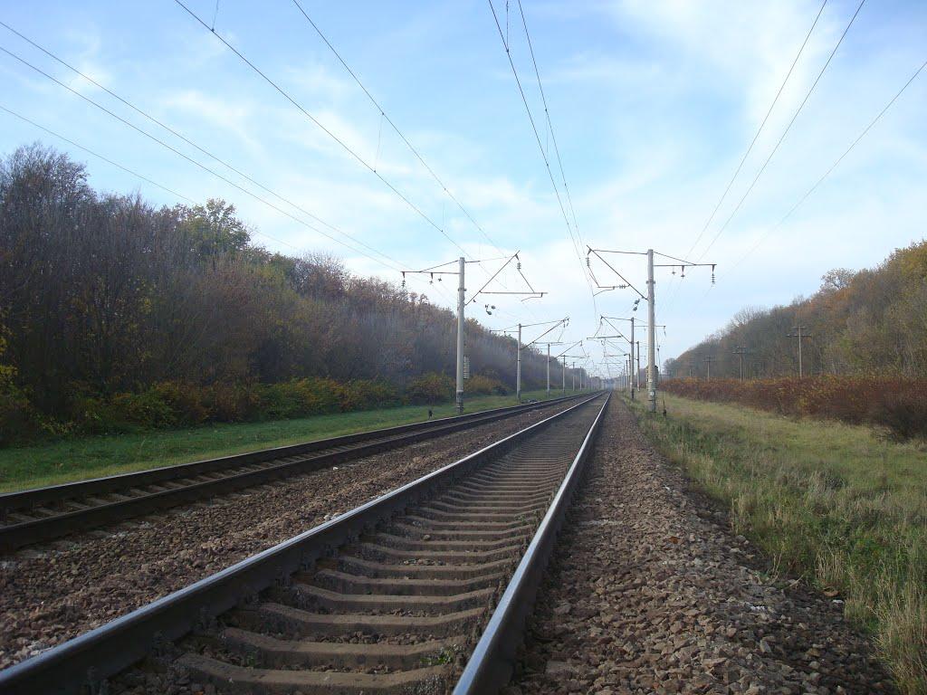 Грузевиця з panoramio.com - Gruzevytsya