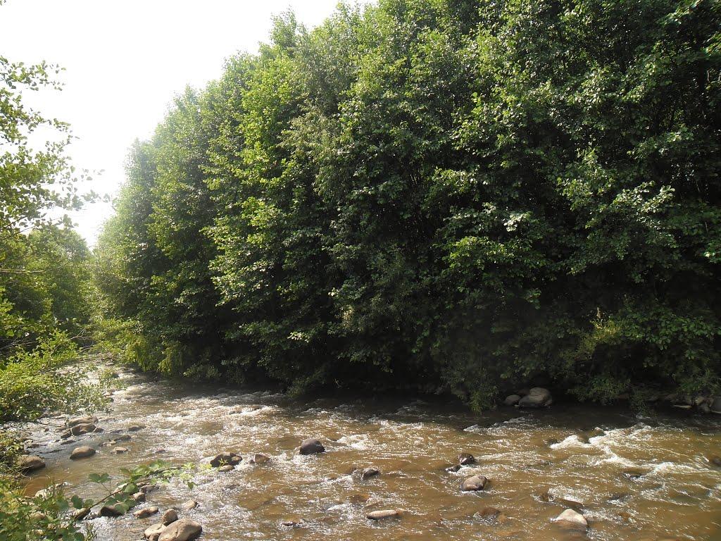 Тересва з panoramio.com - Тересва