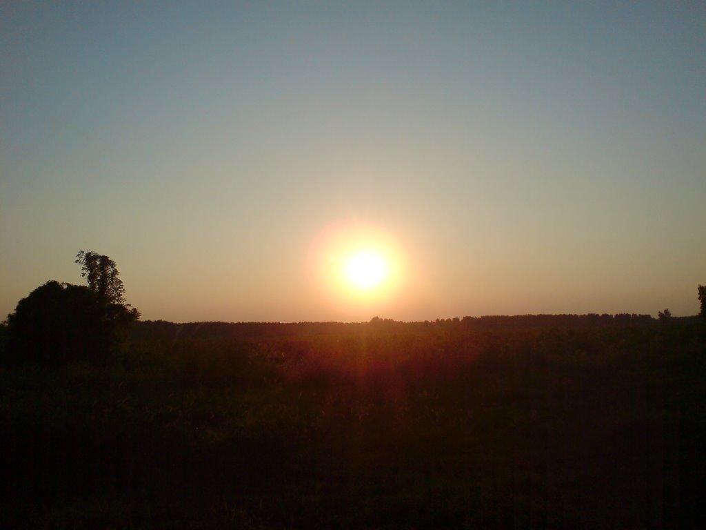 Чома з panoramio.com - Чома