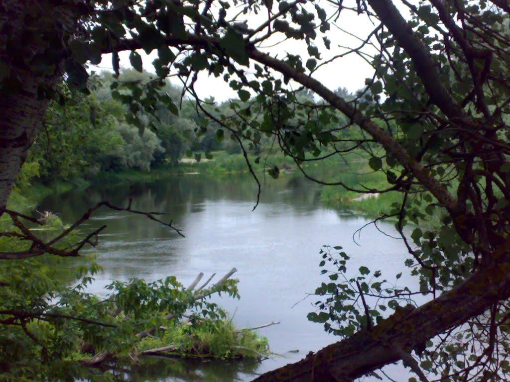 Завгороднє з panoramio.com - Завгороднее
