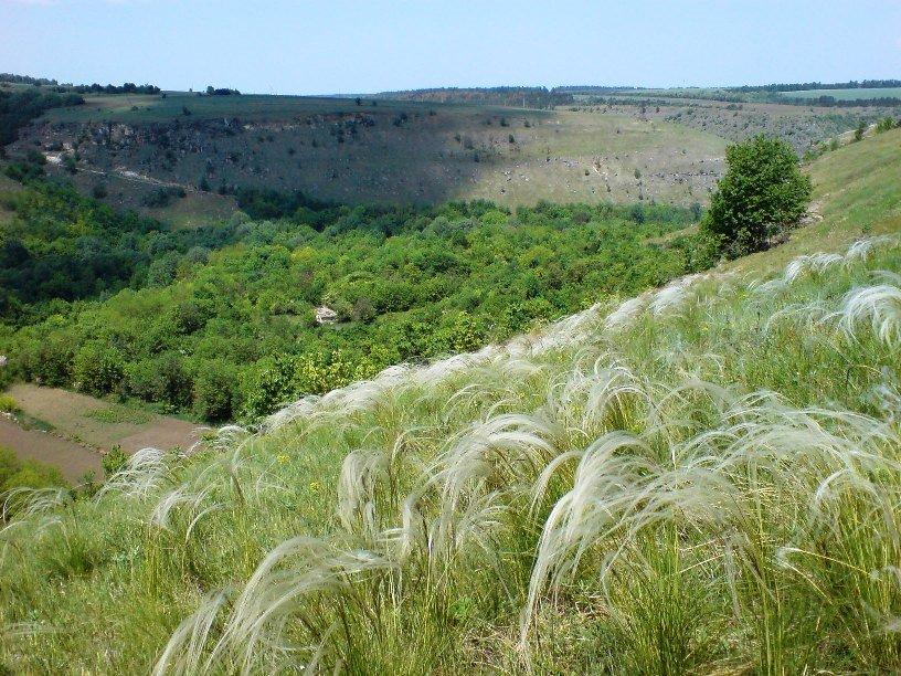 Дмитрашківка з panoramio.com - Дмитрашківка