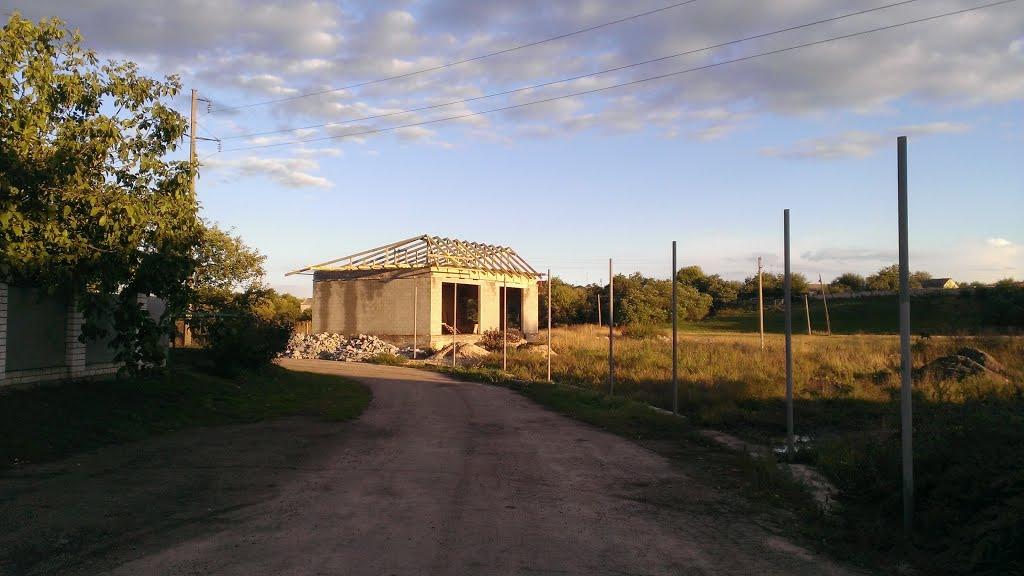 Царичанка з panoramio.com - Царичанка