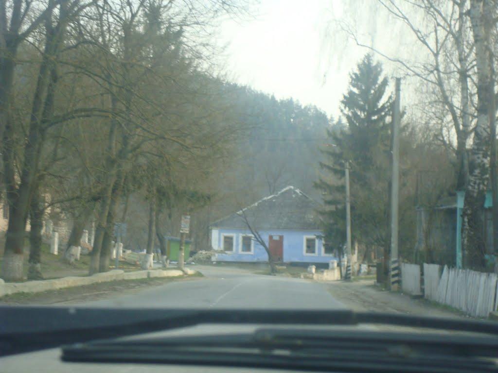 Миньківці з panoramio.com - Миньківці