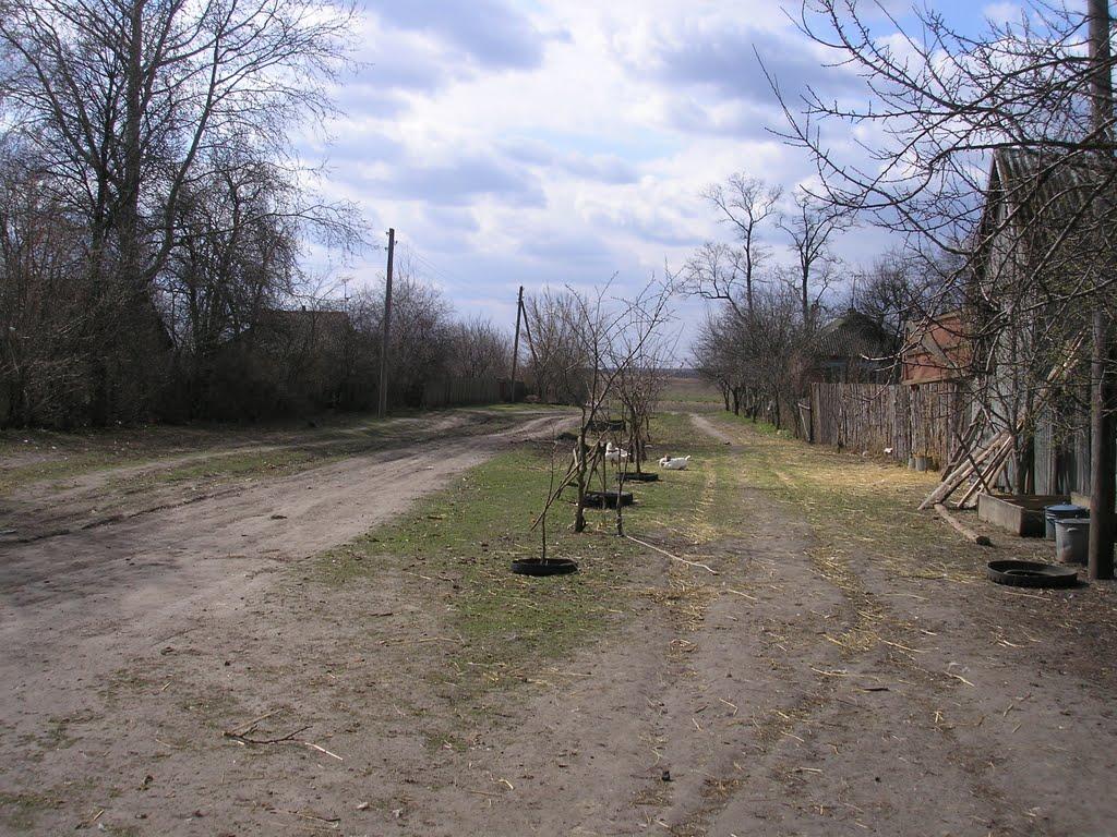 Новий Тагамлик з panoramio.com - Новий Тагамлик