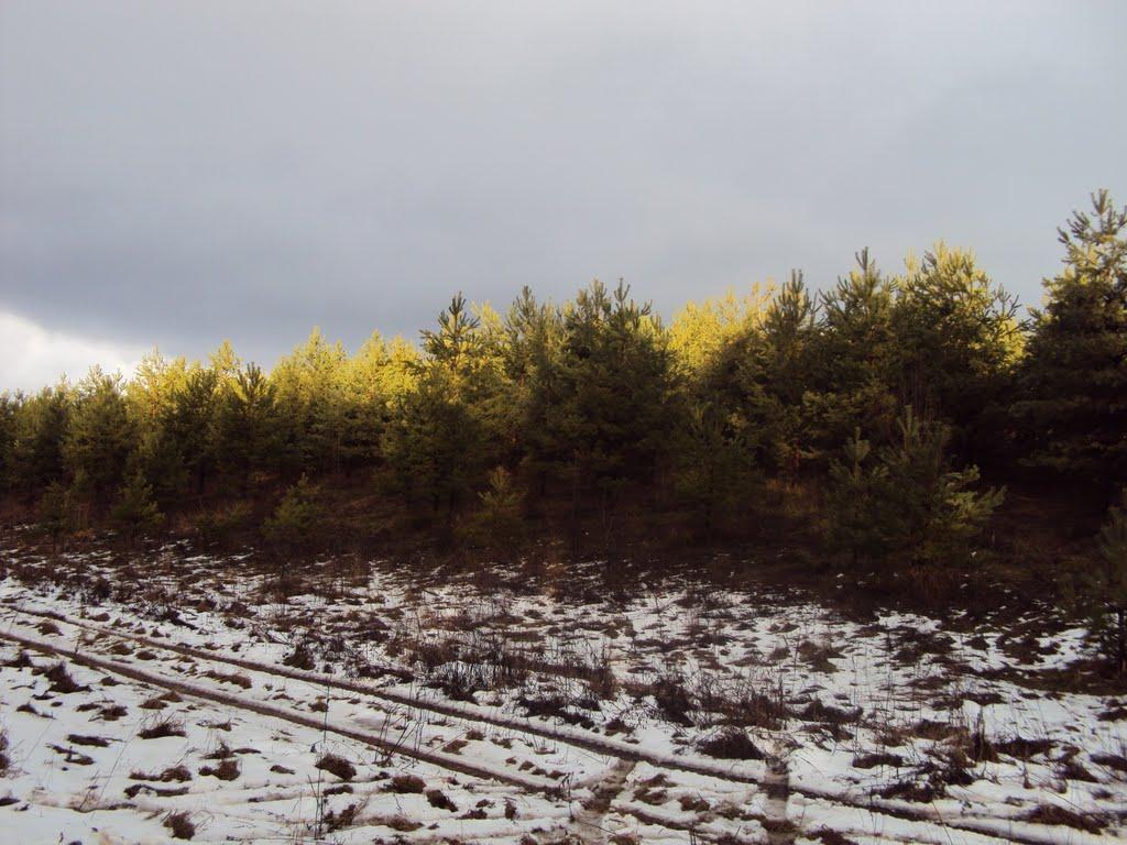 Самотоївка з panoramio.com - Самотоївка