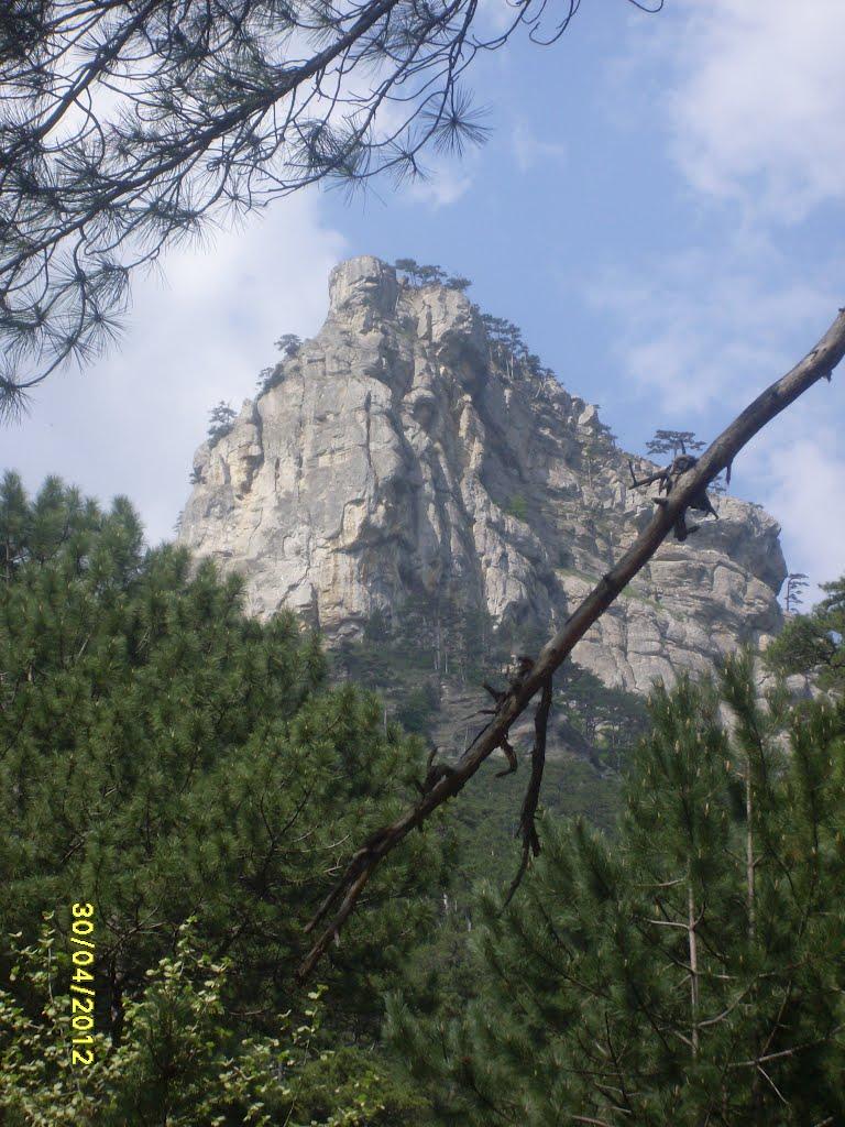 Виноградне з panoramio.com - Виноградное