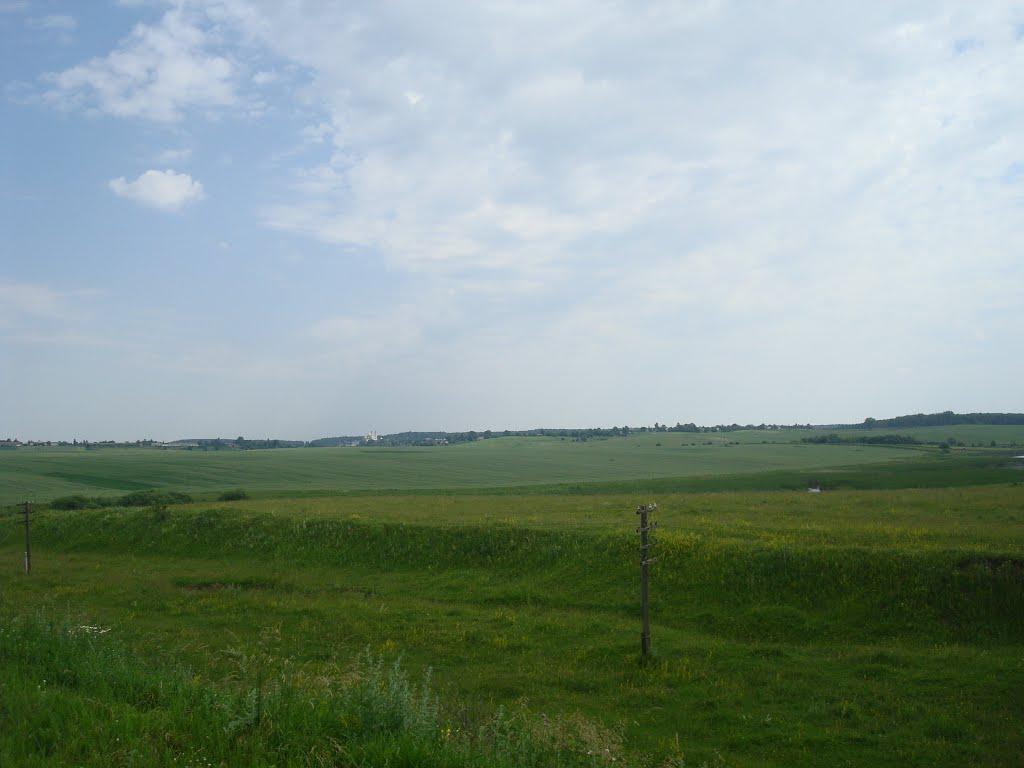 Городище з panoramio.com - Городище