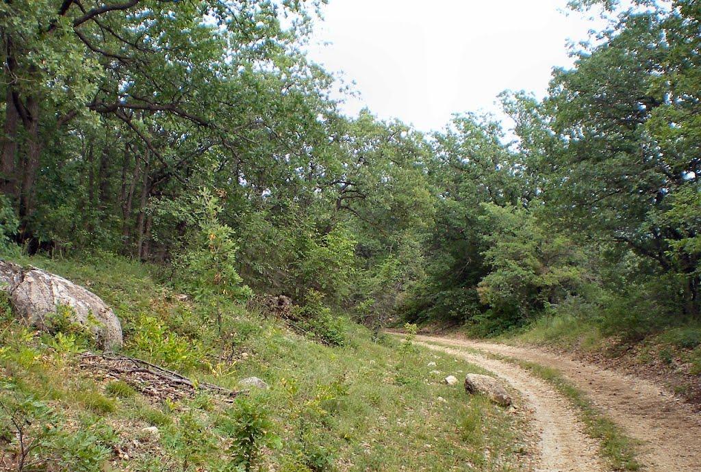 Голованівка з panoramio.com - Голованівка