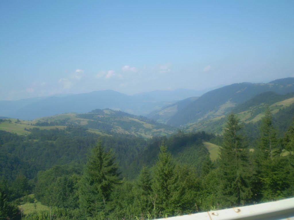 Стригальня з panoramio.com - Стригальня