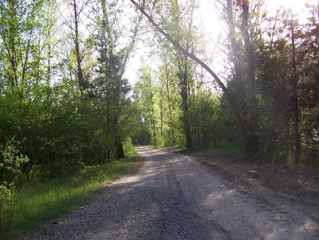 Самусіївка з panoramio.com - Самусіївка