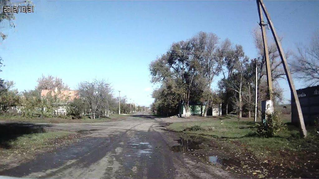 Новолозуватка з panoramio.com - Новолозуватка