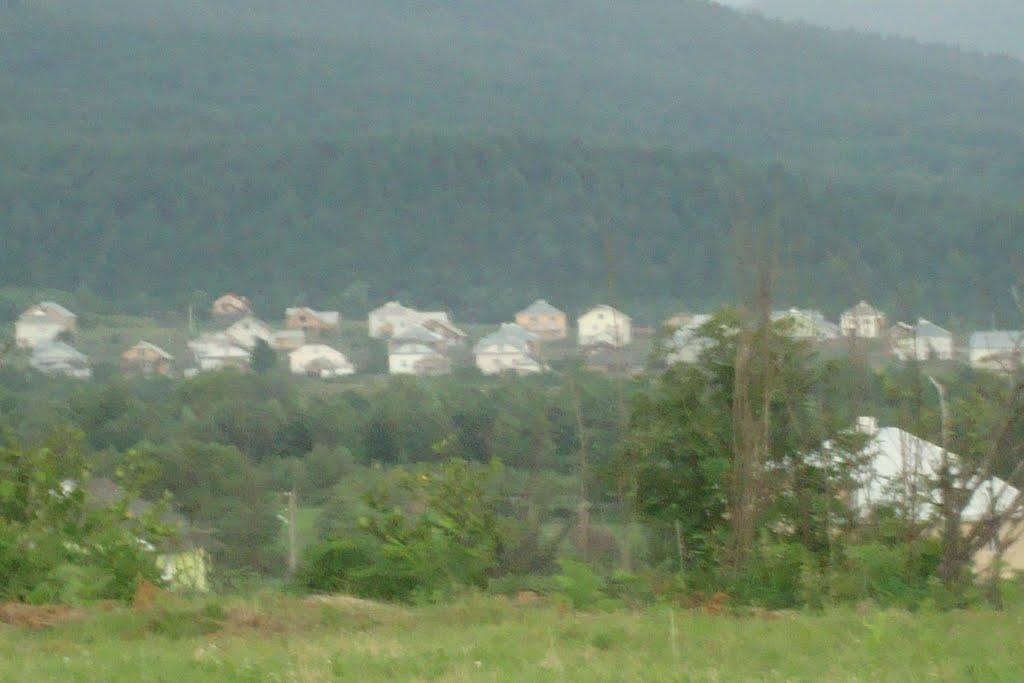 Сливки з panoramio.com - Сливки