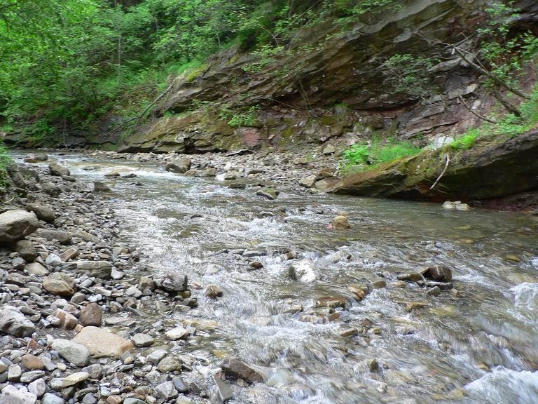 Шепіт з panoramio.com - Шепот