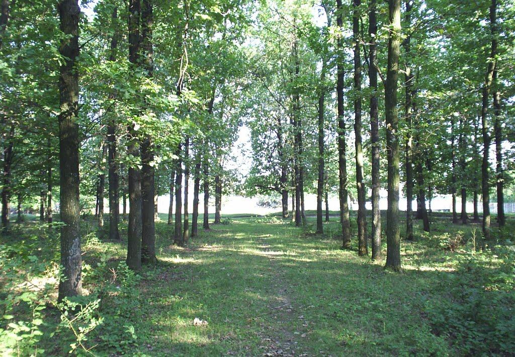 Голинчинці з panoramio.com - Голинчинці