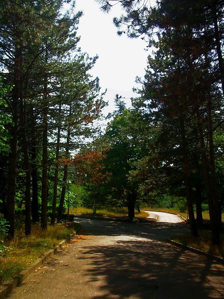 Научний з panoramio.com - Научний