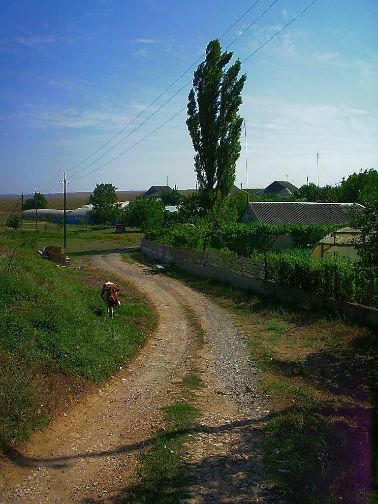 Кочергіне з panoramio.com - Кочергино