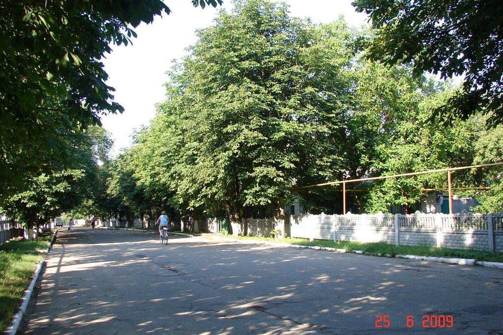 Царичанка з panoramio.com - Царичанка