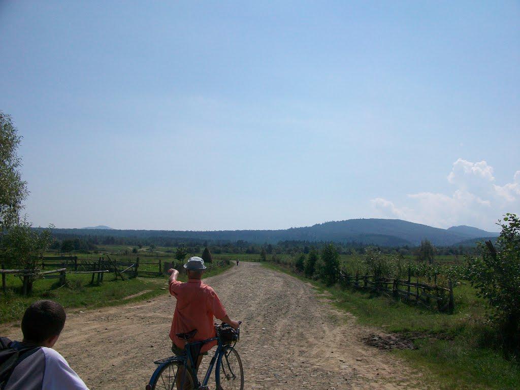 Сливки з panoramio.com - Сливки