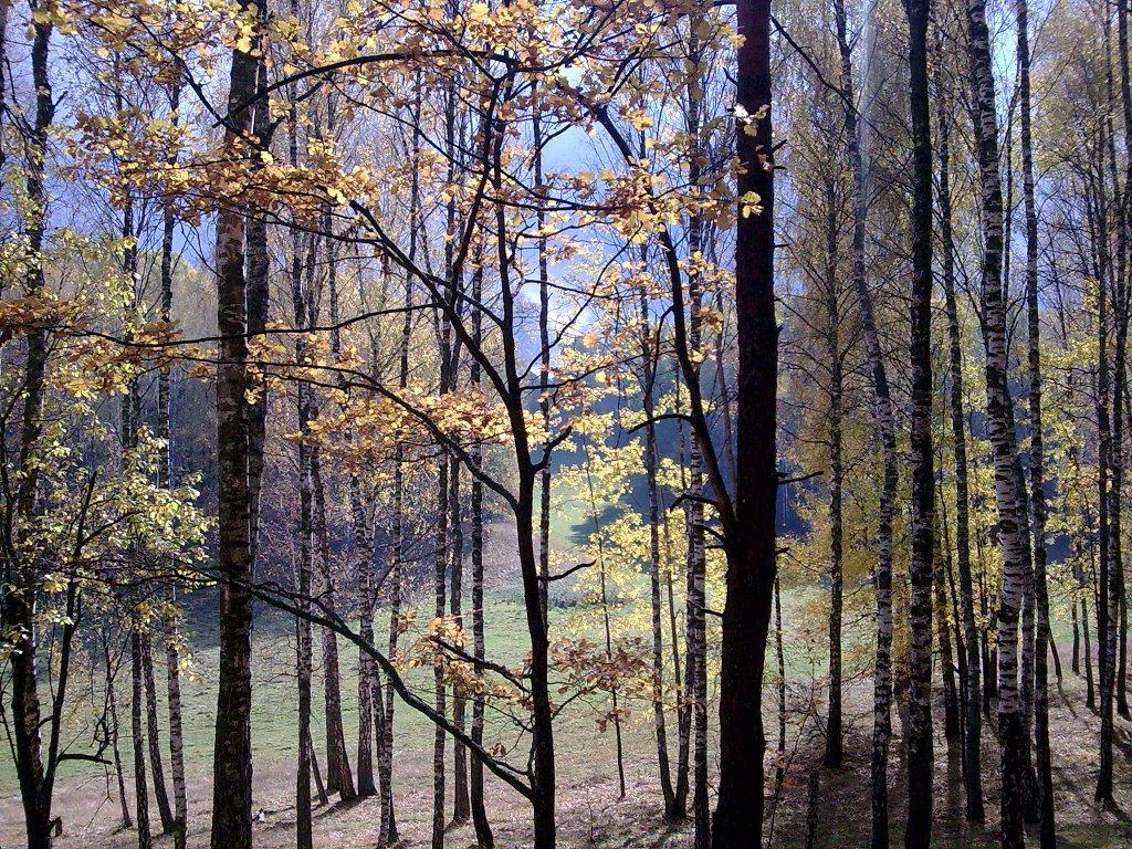 Горохове з panoramio.com - Горохове