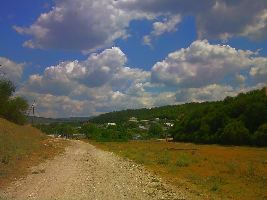 Красний Мак з panoramio.com - Красный Мак
