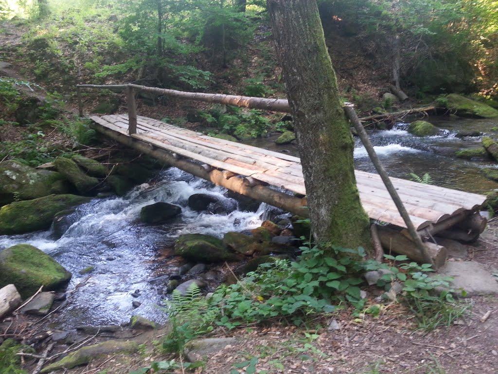 Родникова Гута з panoramio.com - Родникова Гута