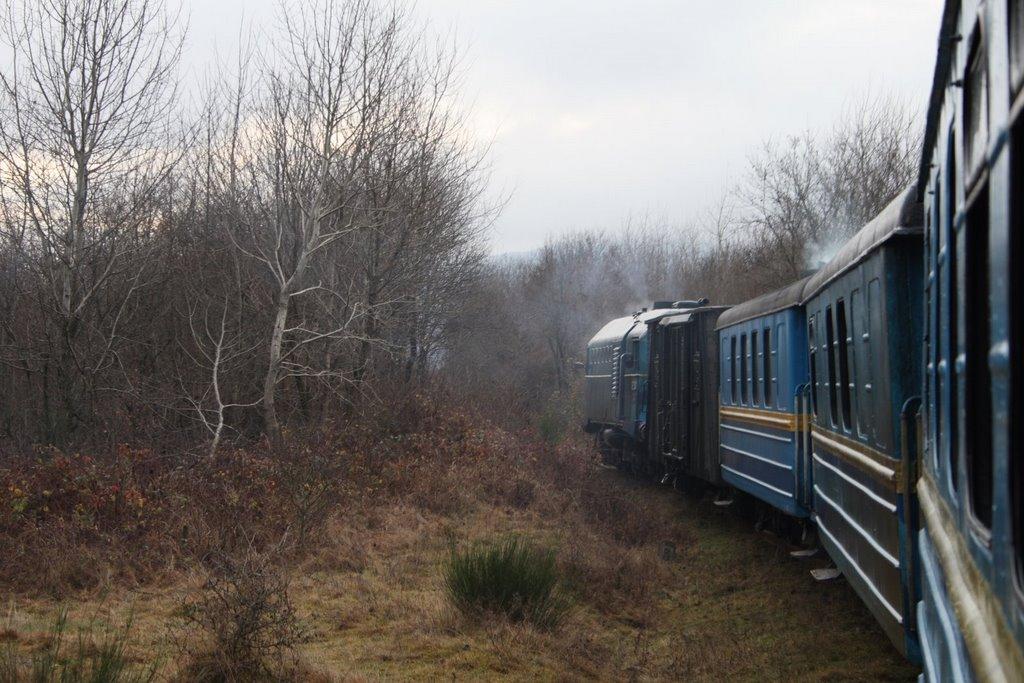 Воловиця з panoramio.com - Воловица