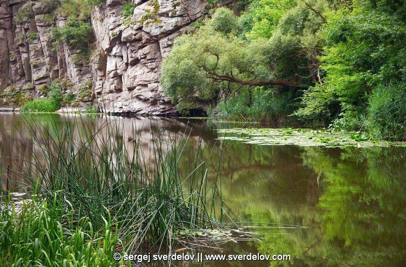 Буки з panoramio.com - Буки