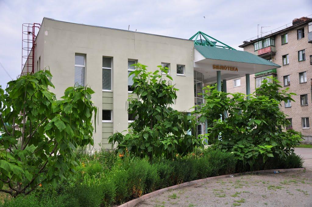 Новомосковськ з panoramio.com (ч.3) - Новомосковск