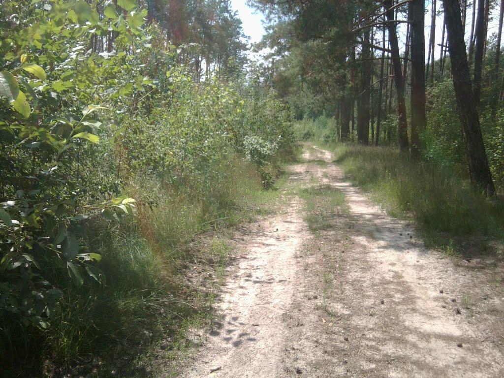 Шостка з panoramio.com - Шостка