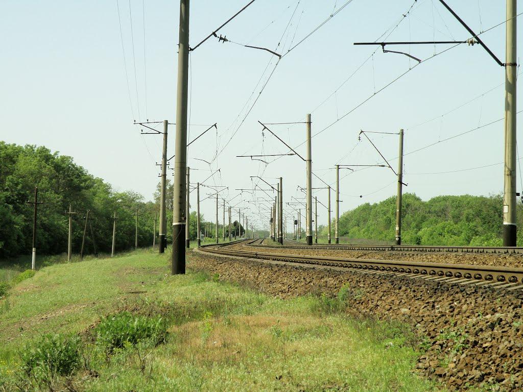 Комуна з panoramio.com - Комуна