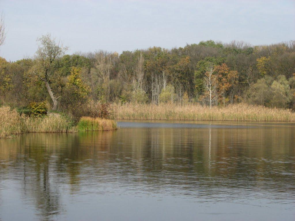 Могилів з panoramio.com - Могилев