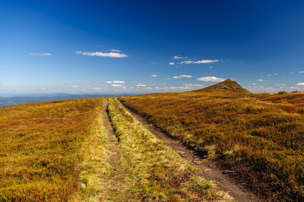 Щербовець з panoramio.com - Щербовець