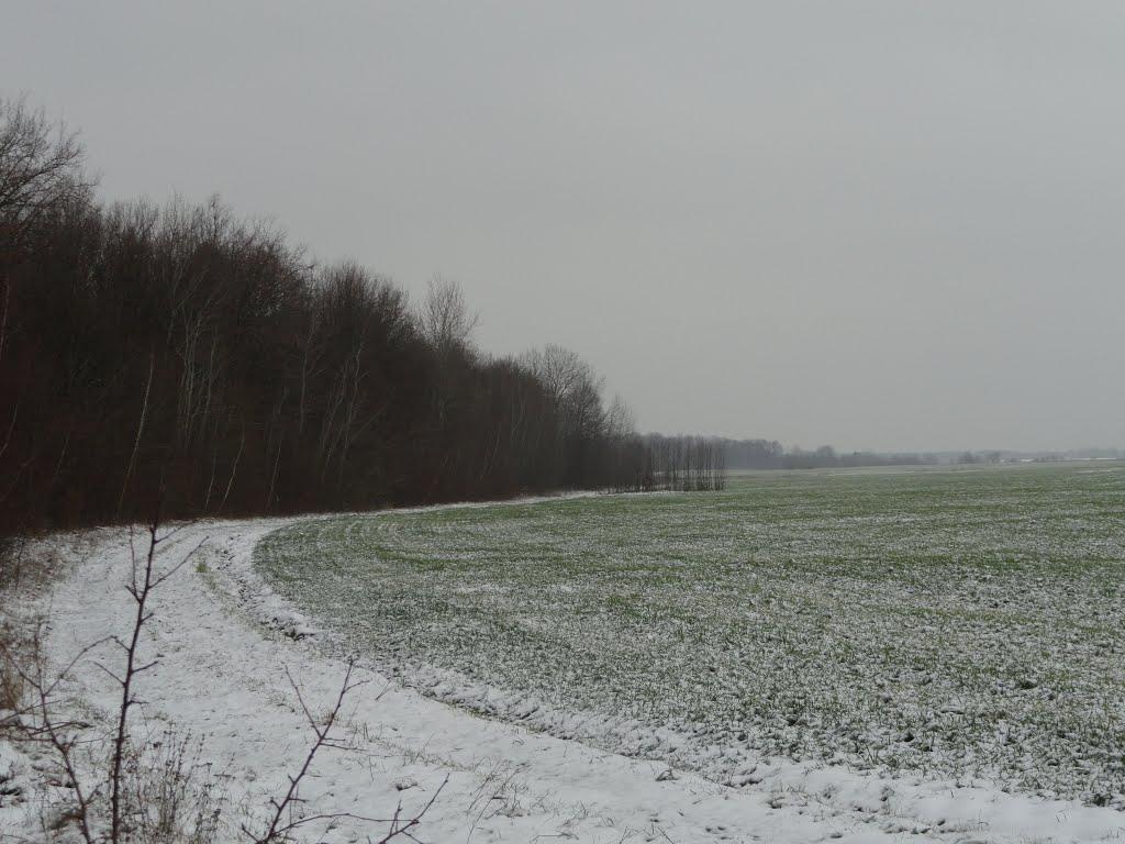 Хопнів з panoramio.com - Хопнів