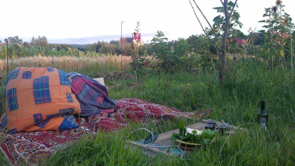 Княжичі з panoramio.com - Княжичі