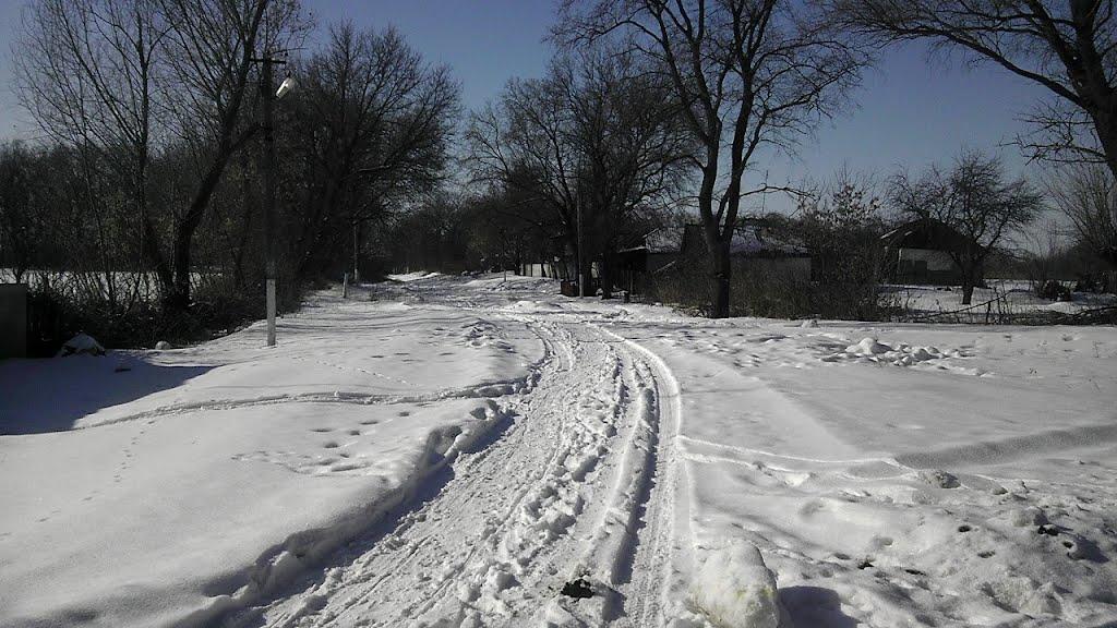 Кошари з panoramio.com - Кошари