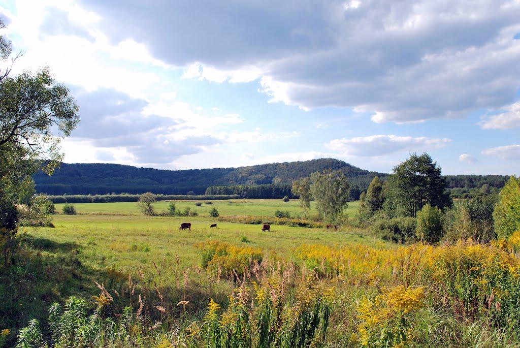 Стіжок з panoramio.com - Стіжок