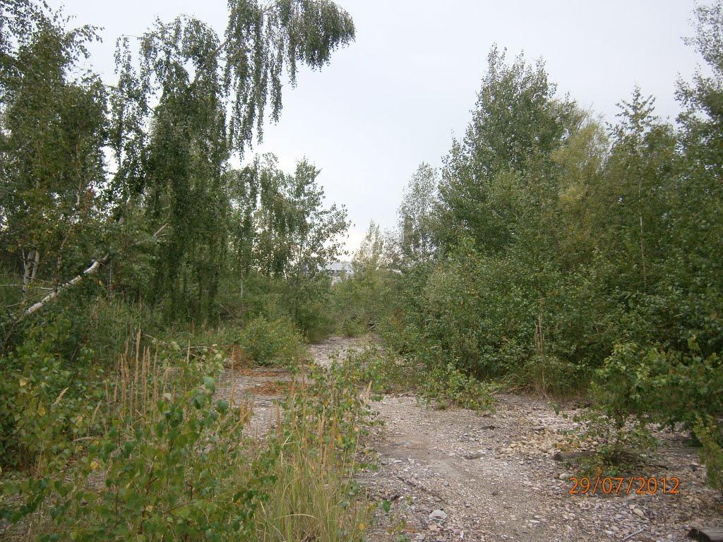 Новий Розділ з panoramio.com - Новый Роздол