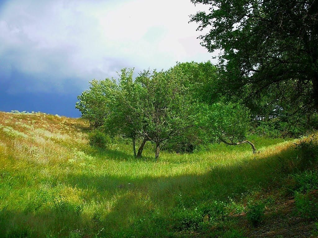 Голубинка з panoramio.com - Голубинка