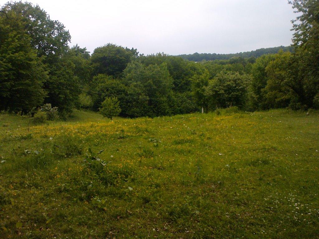 Гринячка з panoramio.com - Гринячка