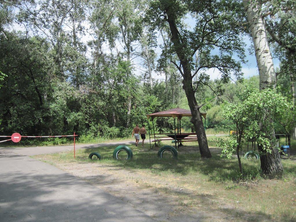 Кияшки з panoramio.com - Кияшки