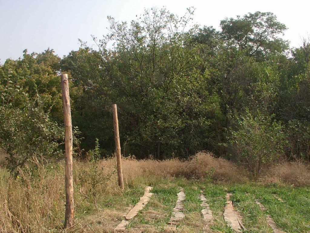 Кружилівка з panoramio.com - Кружилівка