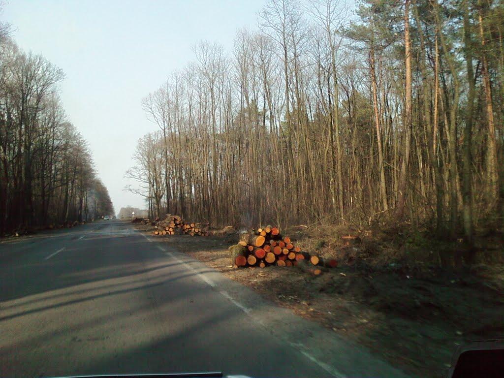 Великі Мости з panoramio.com - Великі Мости