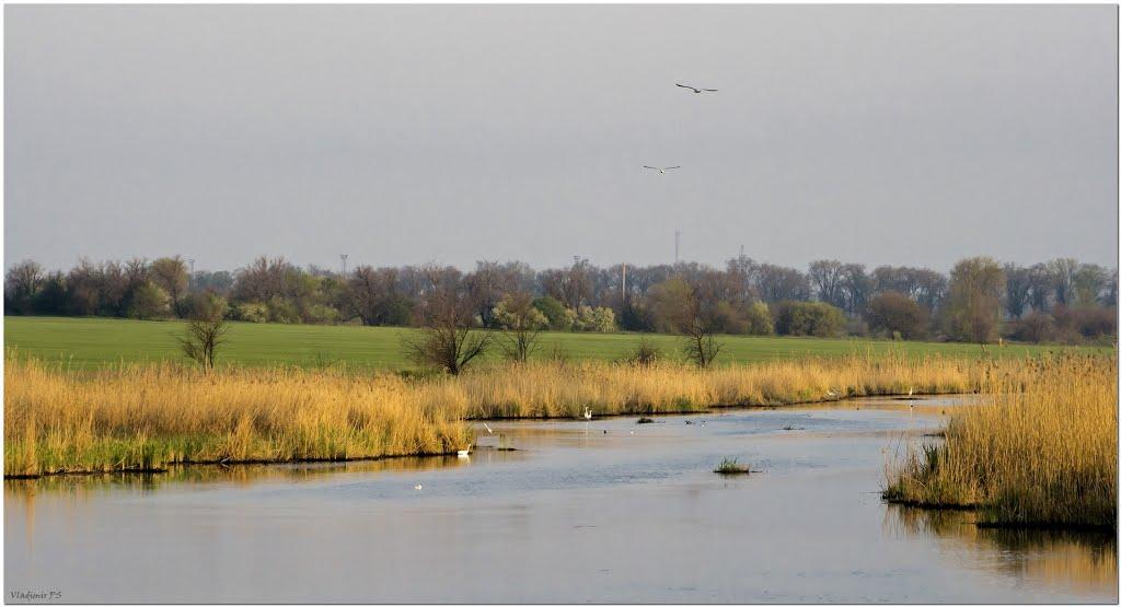 Леніна з panoramio.com - Леніна