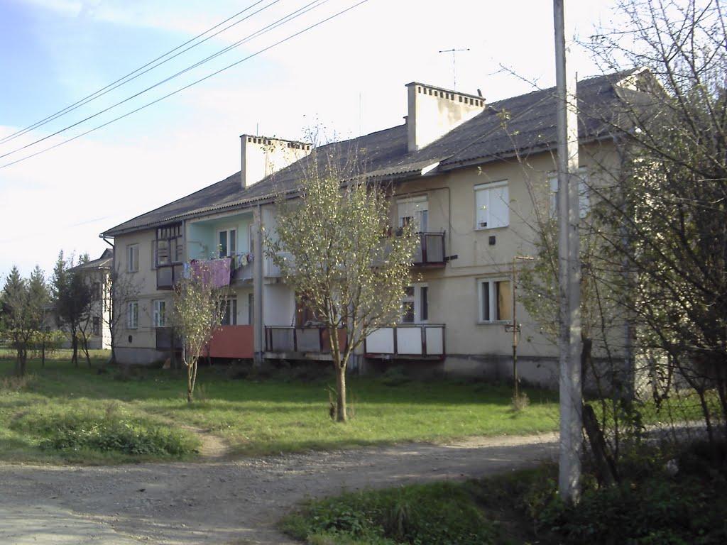 Вилок з panoramio.com - Вилок