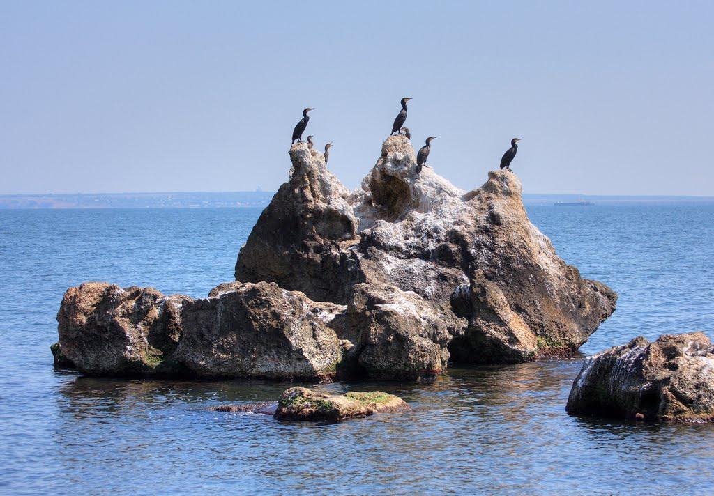 Глазівка з panoramio.com - Глазівка