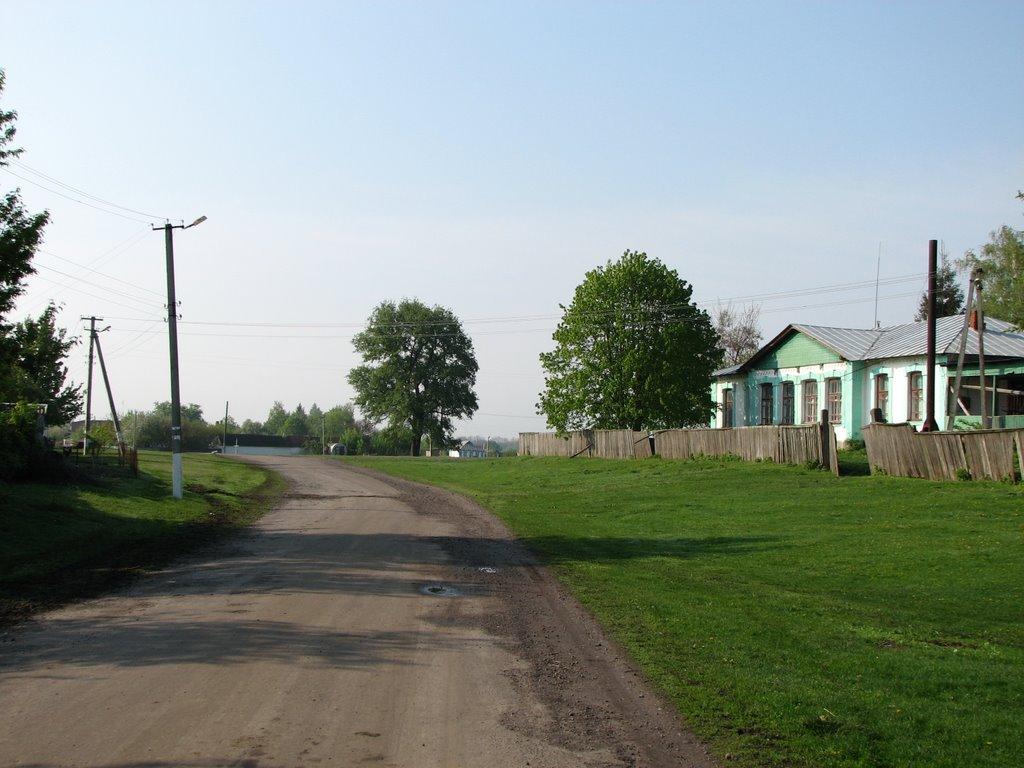 Яблучне з panoramio.com - Jabluchne