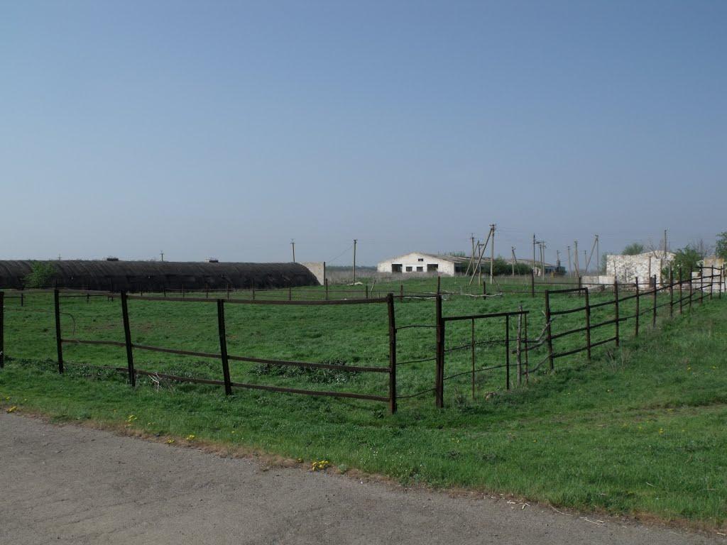 Грушеве з panoramio.com - Грушевое