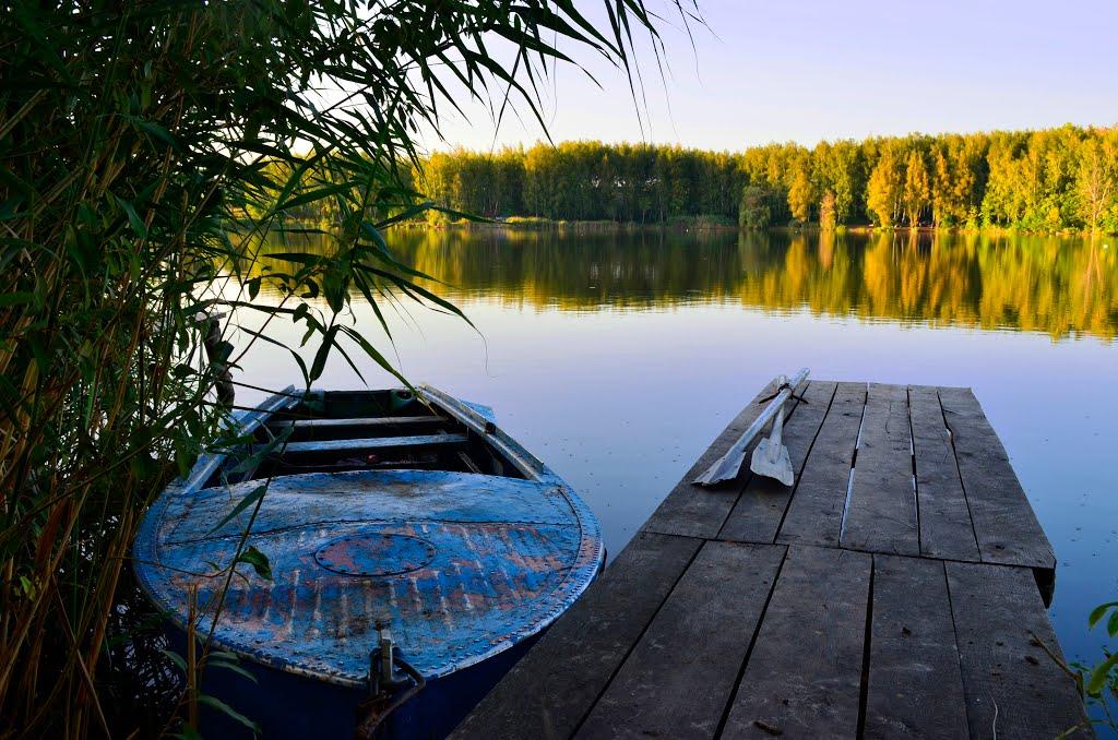 Дорофіївка з panoramio.com - Дорофеевка
