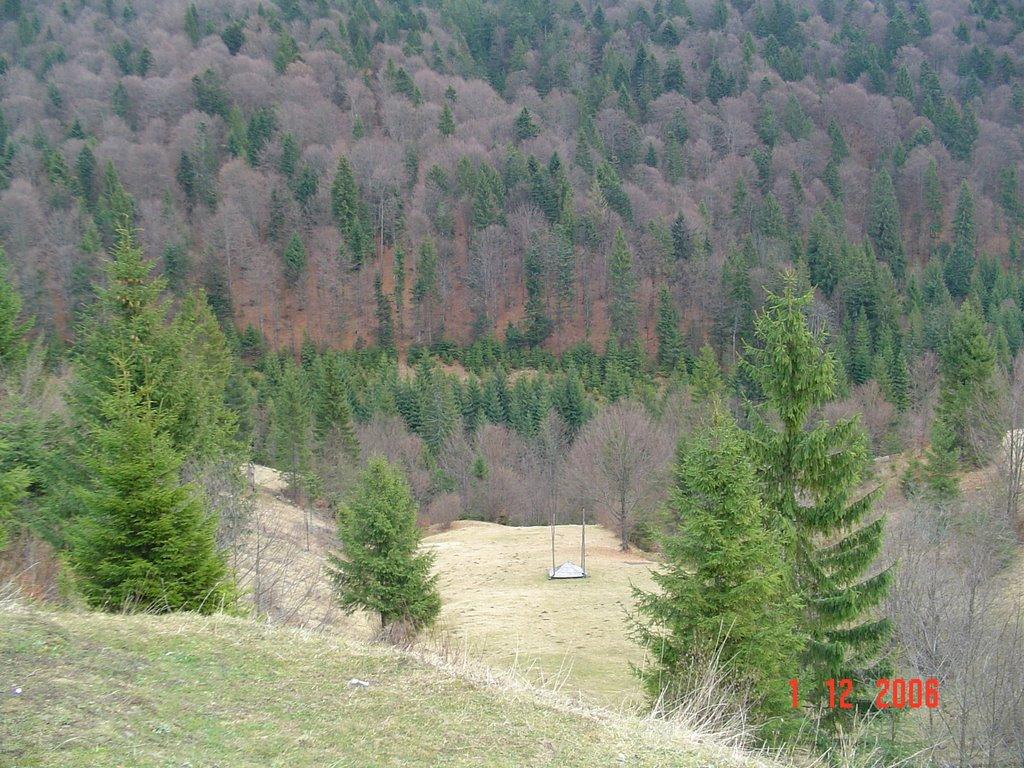 Береги з panoramio.com - Береги