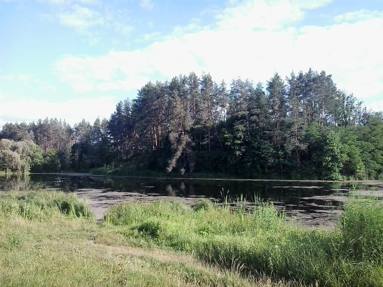 Неграшівський Неграш - Неграші